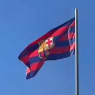 borovniki