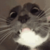 wardenkeeng