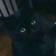 ImBenYT
