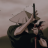 Indifferenzah